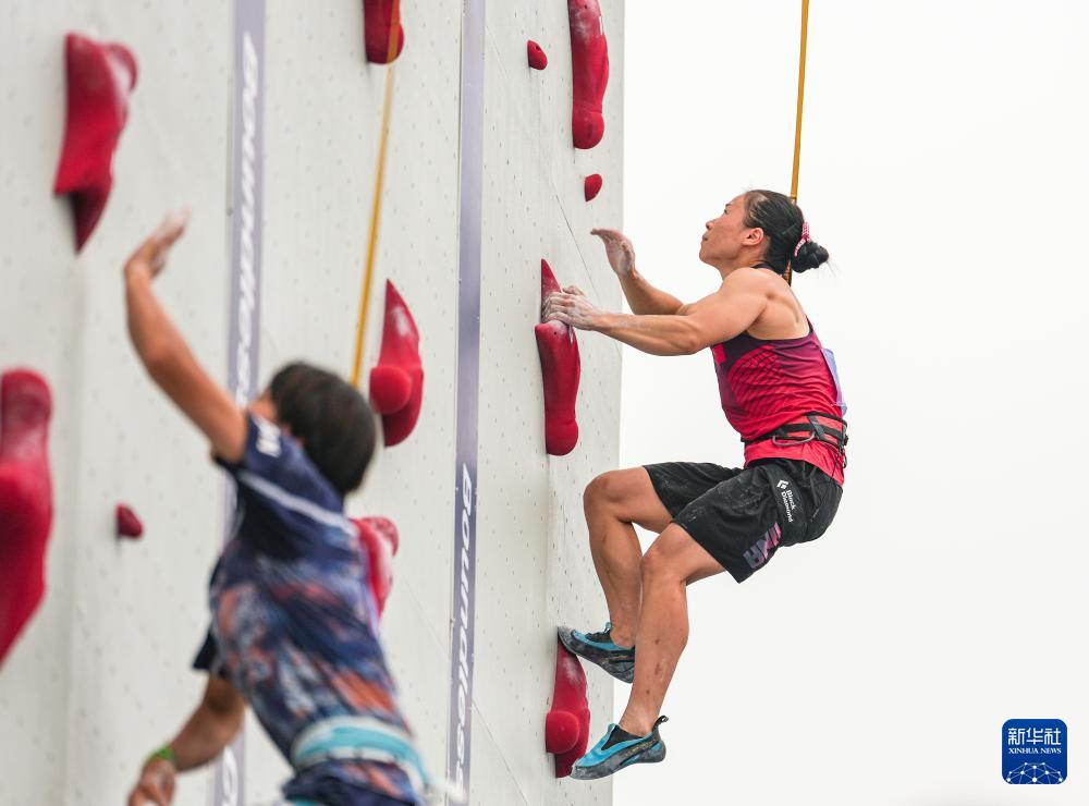 yid, 丁增尼达, 张少琴在女 yid, 丁增尼达, 张少琴在女