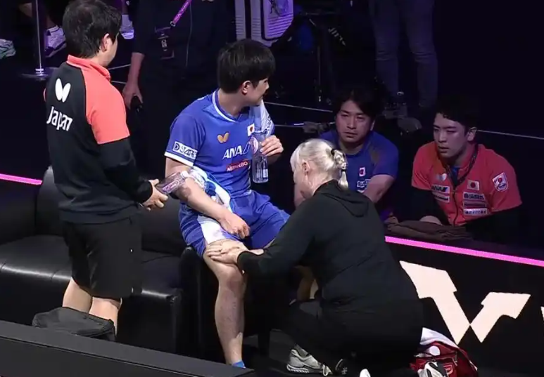 net, 张本智和在, jpg net, 张本智和在, jpg