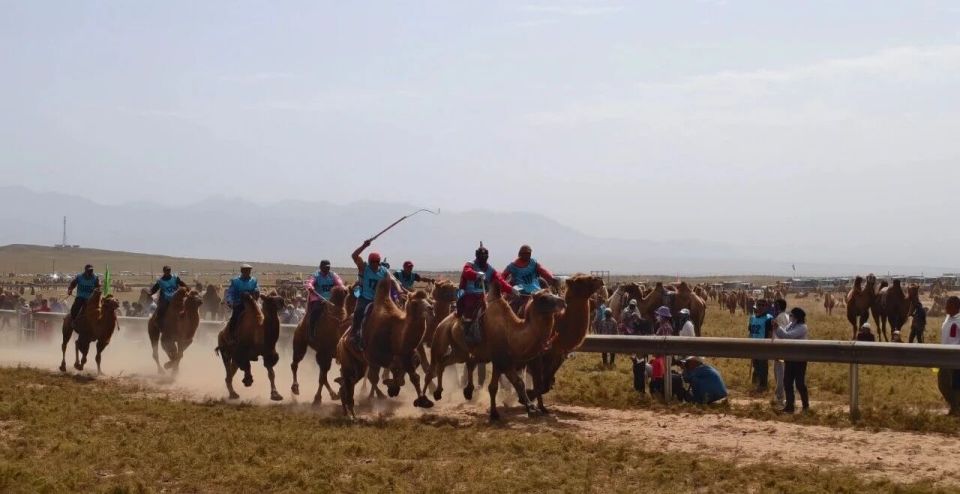 带来了一场, 赛马, 了各民族之 带来了一场, 赛马, 了各民族之